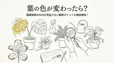 葉の色が変わったら？ 観葉植物のSOSを見逃さない観察ポイントを徹底解説！